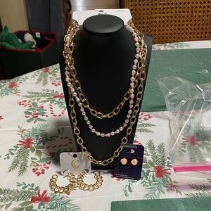 Charming Charlie Gold and Pink Necklace Set